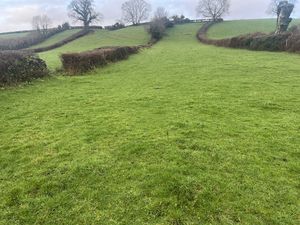 Photo 3- click for photo gallery